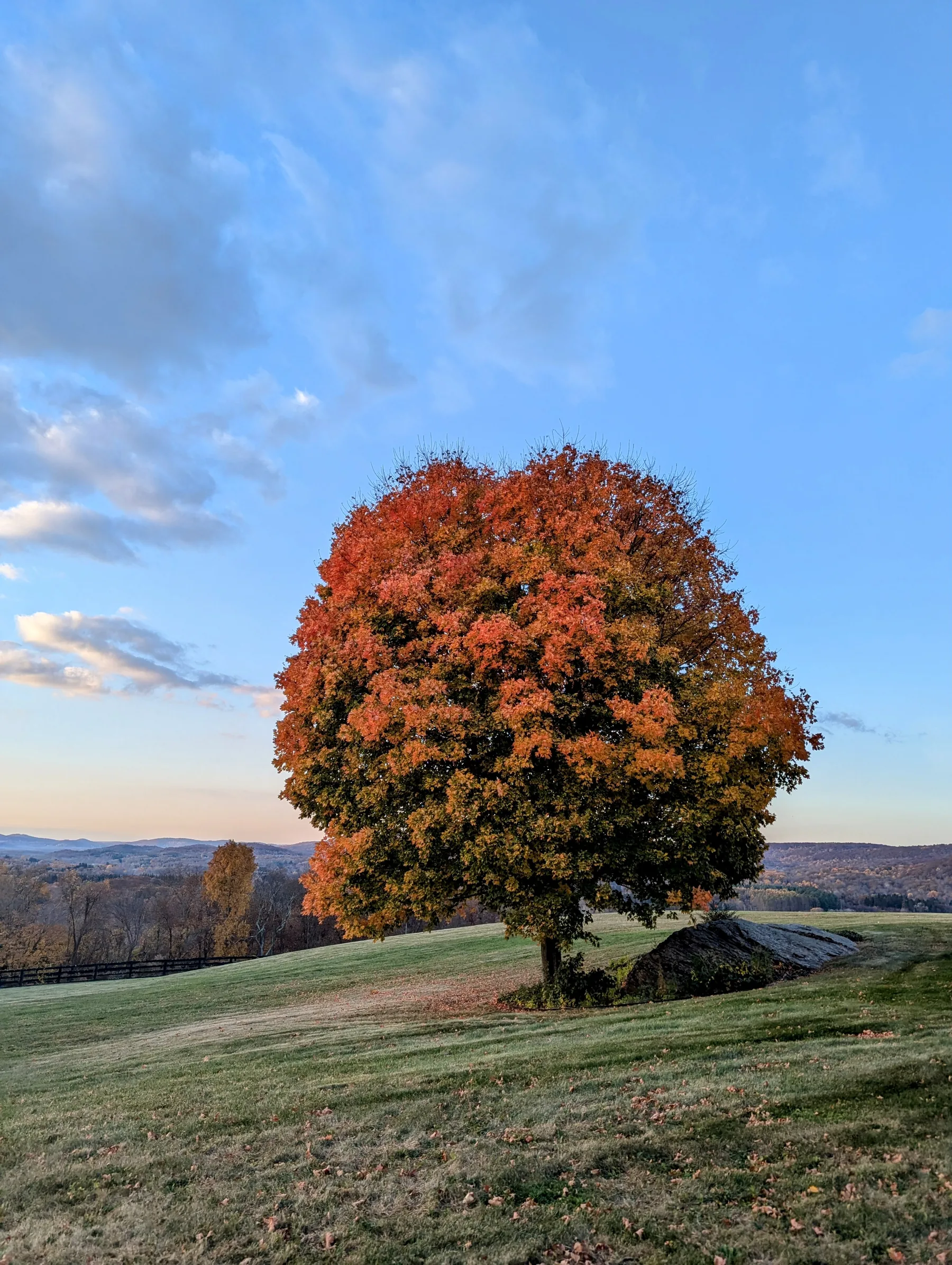 Rounded Crest Farm
