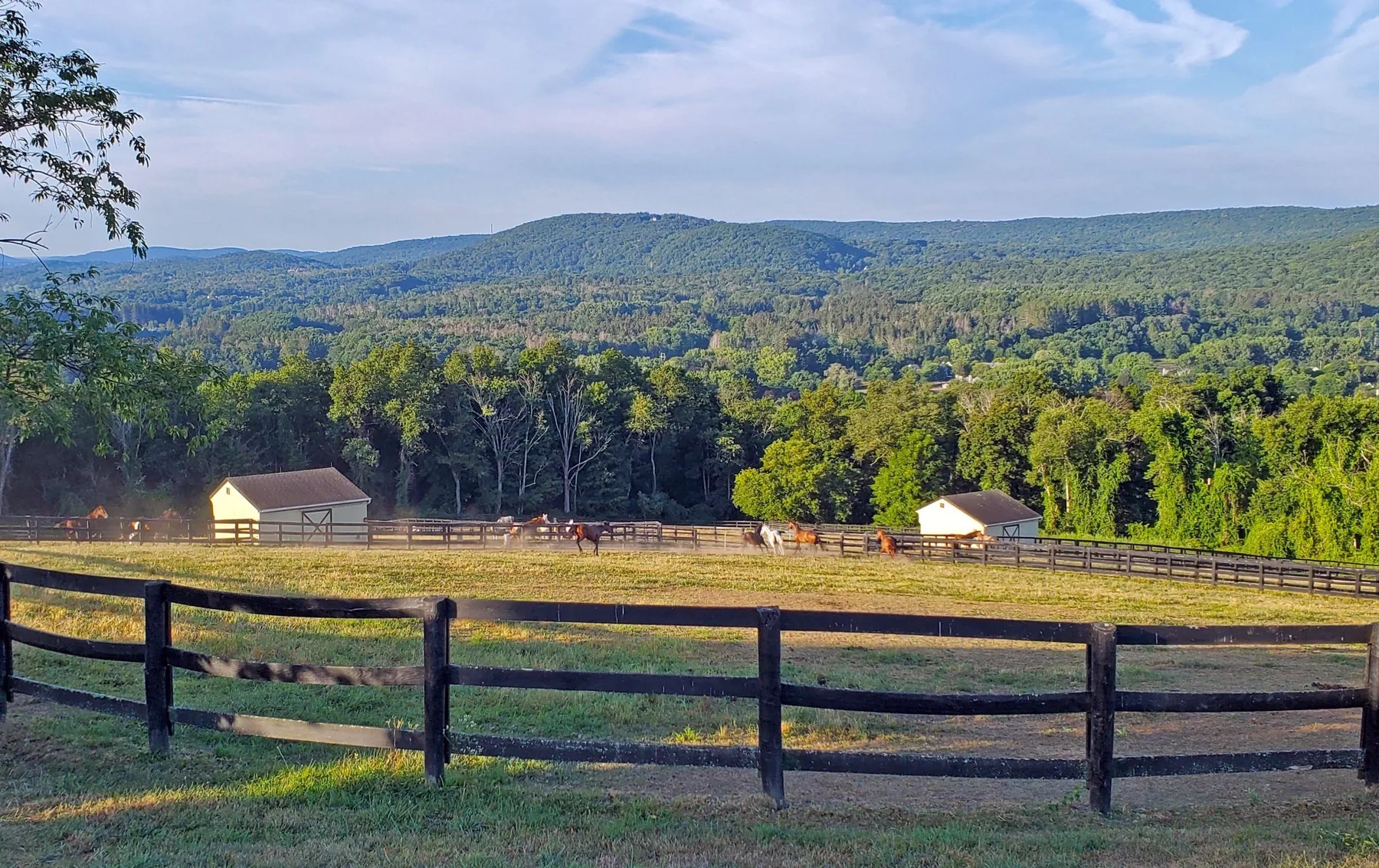 Rounded Crest Farm