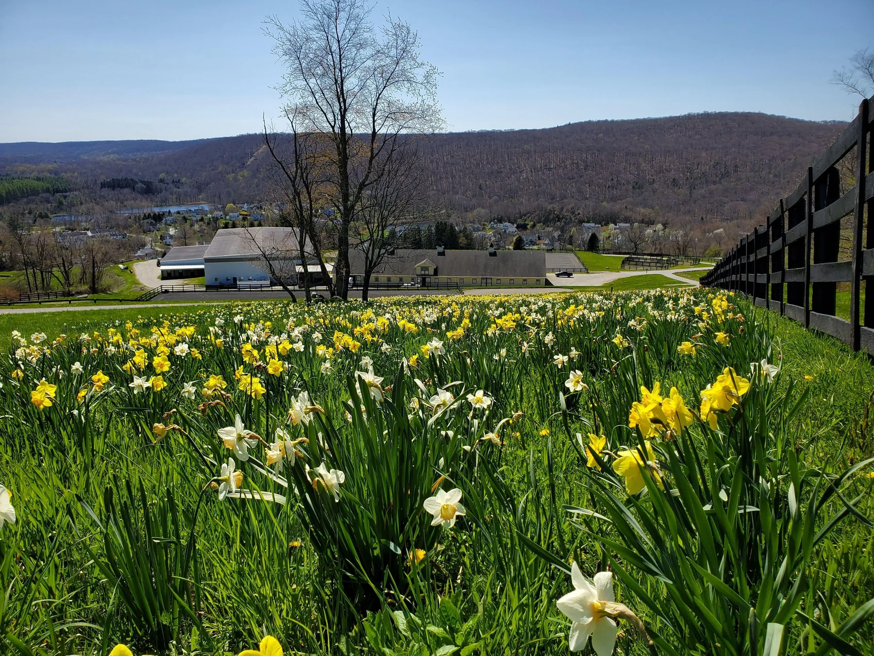 Rounded Crest Farm