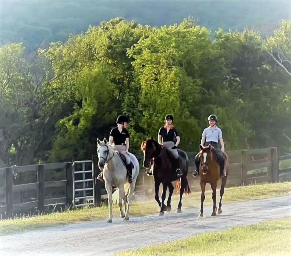 Open Space / Trail Riding